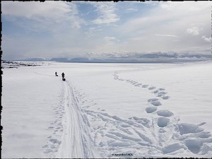 Expédition LMDS au Svalbard
